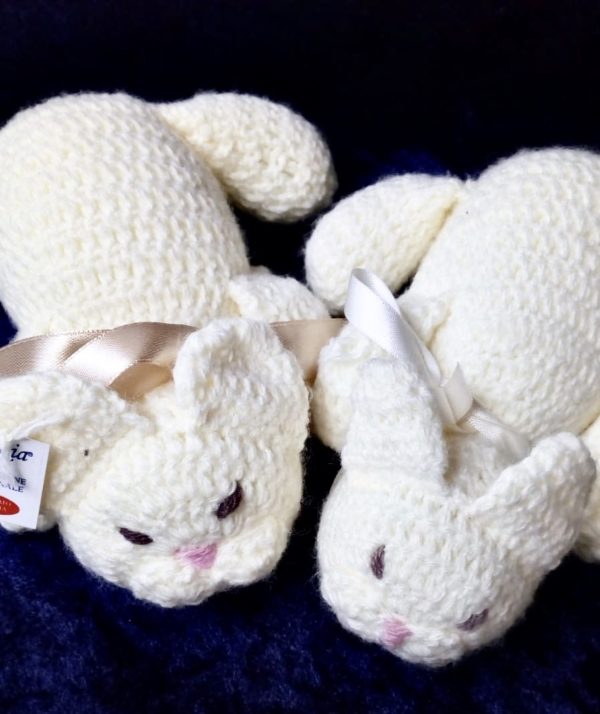 Mamma gatta e i suoi cuccioli e "cuccia in regalo" - immagine 9