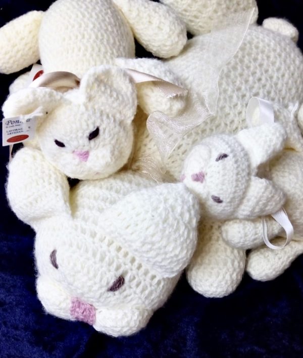 Mamma gatta e i suoi cuccioli e "cuccia in regalo" - immagine 6