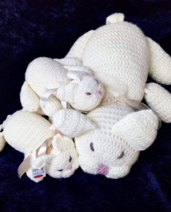 Mamma gatta e i suoi cuccioli e "cuccia in regalo" - immagine 10