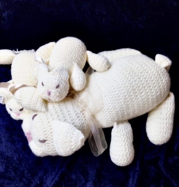 Mamma gatta e i suoi cuccioli e "cuccia in regalo" - immagine 2