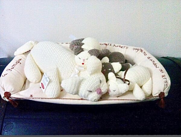 Mamma gatta e i suoi cuccioli e "cuccia in regalo"