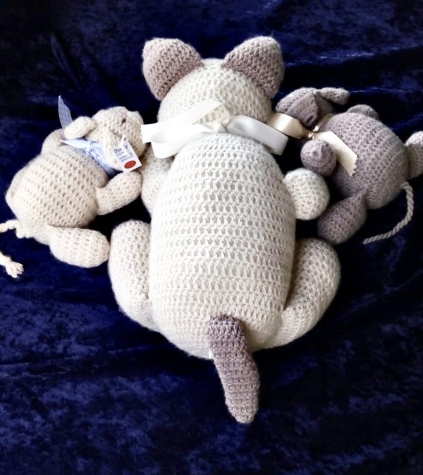 Mamma gatta e i suoi cuccioli bicolore - immagine 3