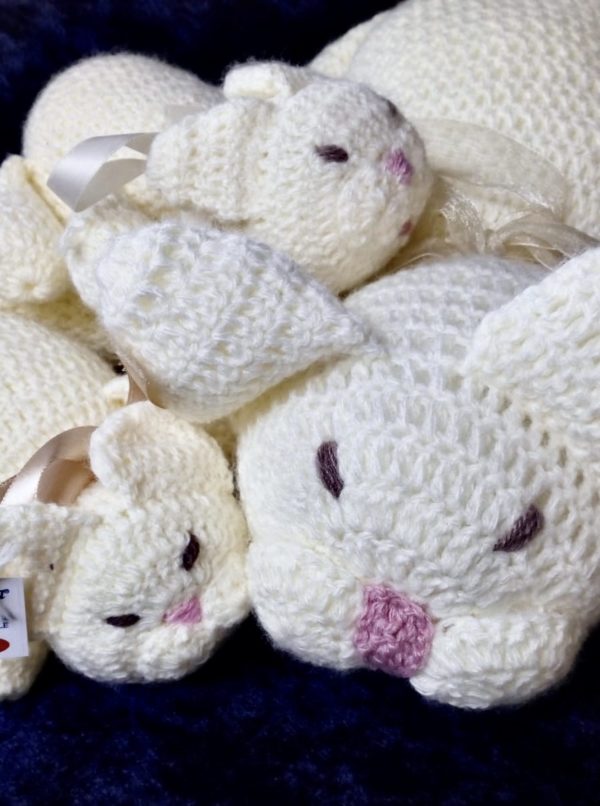 Mamma gatta e i suoi cuccioli e "cuccia in regalo" - immagine 3