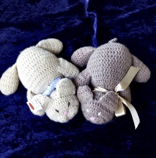 Mamma gatta e i suoi cuccioli bicolore - immagine 7